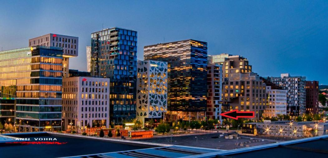 Spacious Modern 3Br Apartment At Central Oslo Barcode Екстер'єр фото